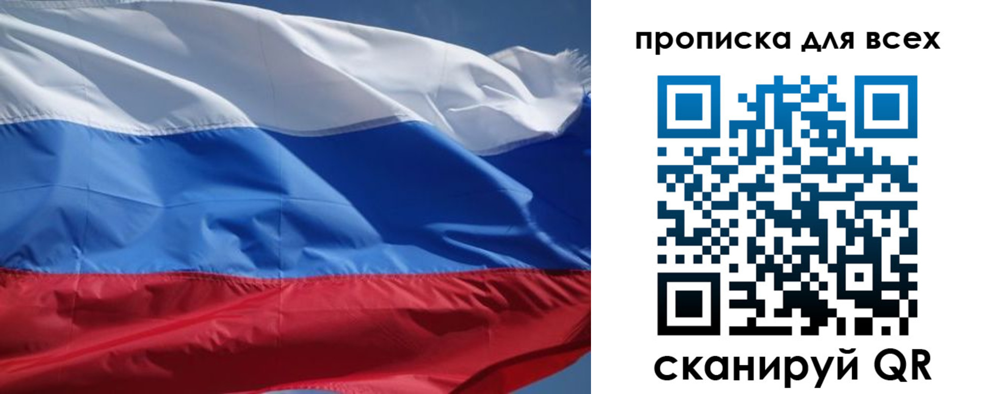 прописка гарантия в Нелидово